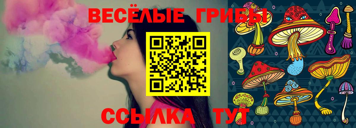 Десногорск  Псилоцибиновые грибы ЛСД  Псилоцибиновые грибы прущие грибы  Вход с VPN 