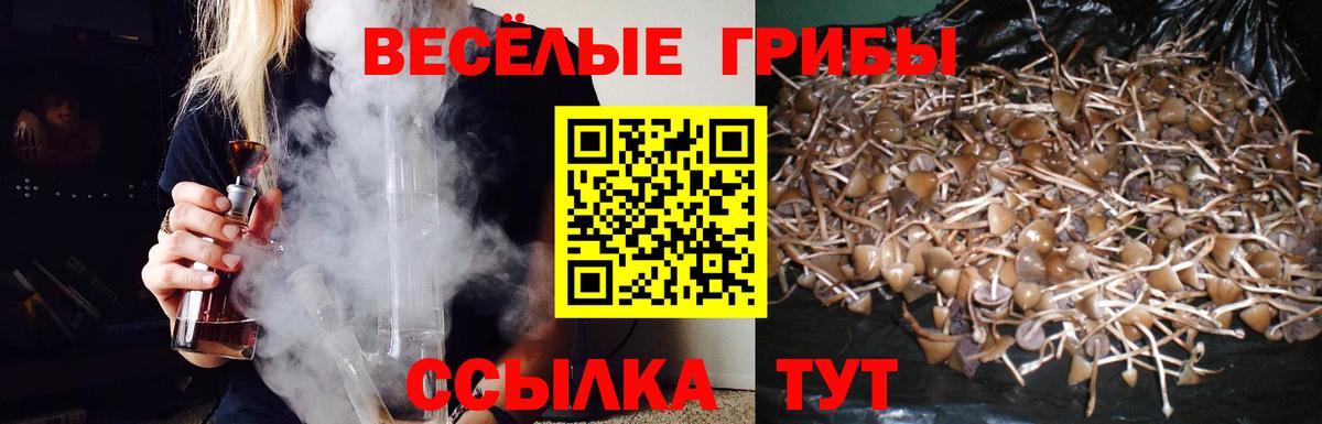 Псилоцибиновые грибы прущие грибы Десногорск